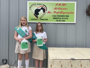 girl_scouts_-_penny_war