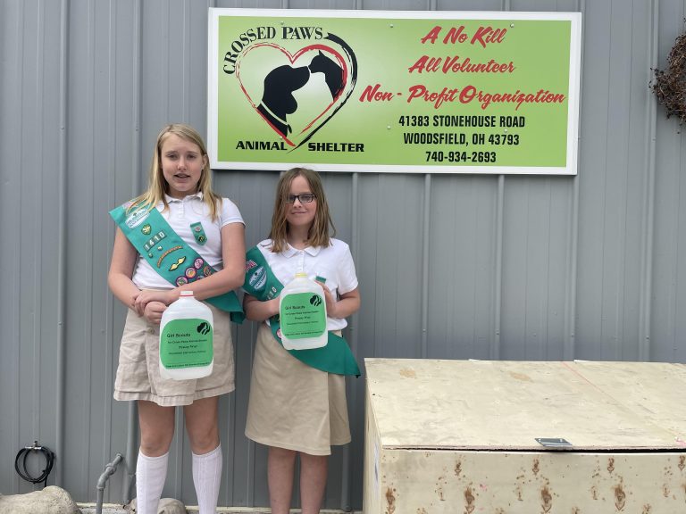girl_scouts_-_penny_war