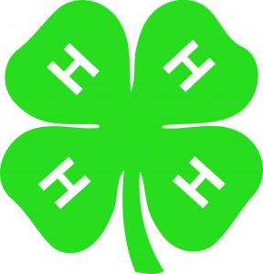 4h-clover-84