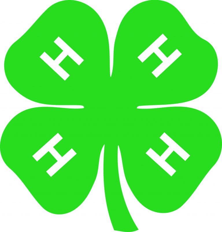 4h-clover-84