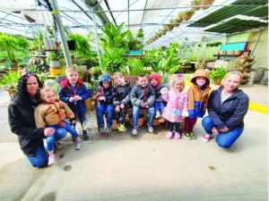 head_start_visits_plants