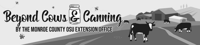 osu_ext