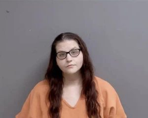 woodsfield_pd_-_is_that_fd_boys_gf