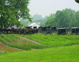 amish