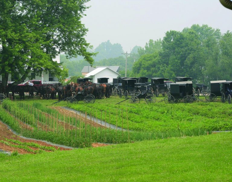amish