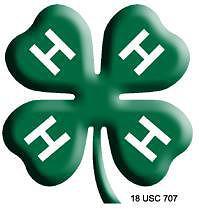 4-h_clover
