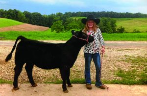 knowlton_cow429